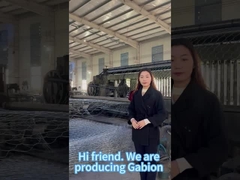 China factory produce gabion basket stone cage 