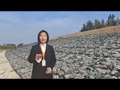 PVC Gabion 80x100 mm 2x1x1 m Galvanized Gabion Basket  Gabion Mattress for River Protection