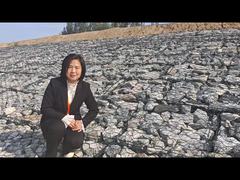 PVC Coated Gabion Basket for Retaining Wall 8x10cm Mesh 2x1x1m Coastal Hydraulic Engineering