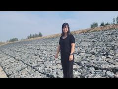 Hot-Dip Galvanized Gabion Cage Retaining Wall 6x8cm Mesh 1x1x1m Gabion Box Coastal Protection